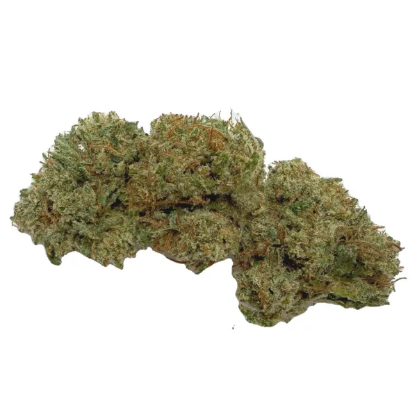 White Melon BIG BUD