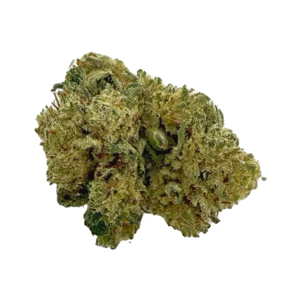 Tropical Fruit