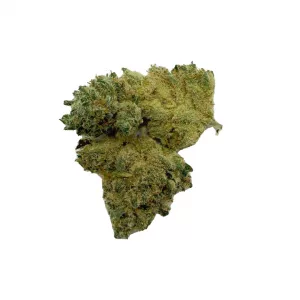 Blue Dream Hydro