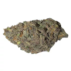 Ice Cream Cake Amsterdam XXX