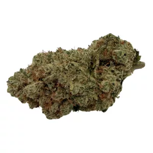 Exotic Fruit