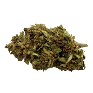 Green Mama