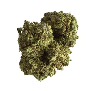 Mimosa